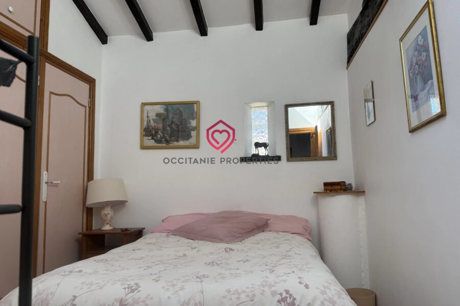 Maison à vendre à Mirepoix — Vue montagne — photo 16