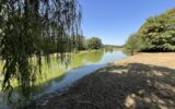 Maison à vendre à Saint-Léger-de-Fougeret — Vue nature — photo 20