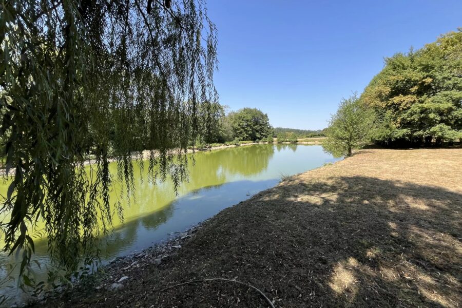 Maison à vendre à Saint-Léger-de-Fougeret — Vue nature — photo 20