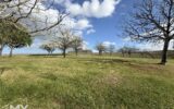 Maison à vendre à Pineuilh — Vue nature — photo 1