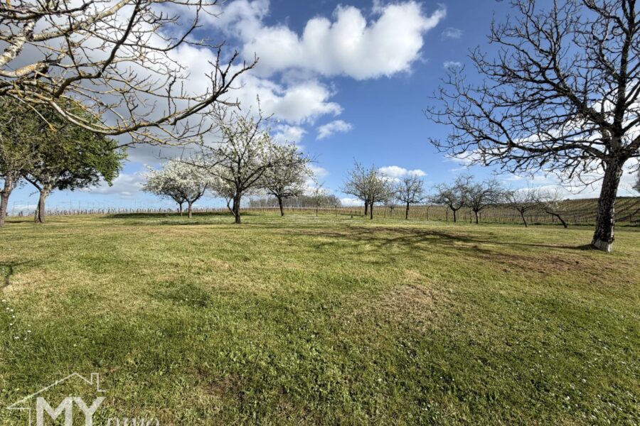 Maison à vendre à Pineuilh — Vue nature — photo 1
