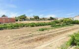 Terrain à vendre à Portel-des-Corbières — Vue mer — photo 2