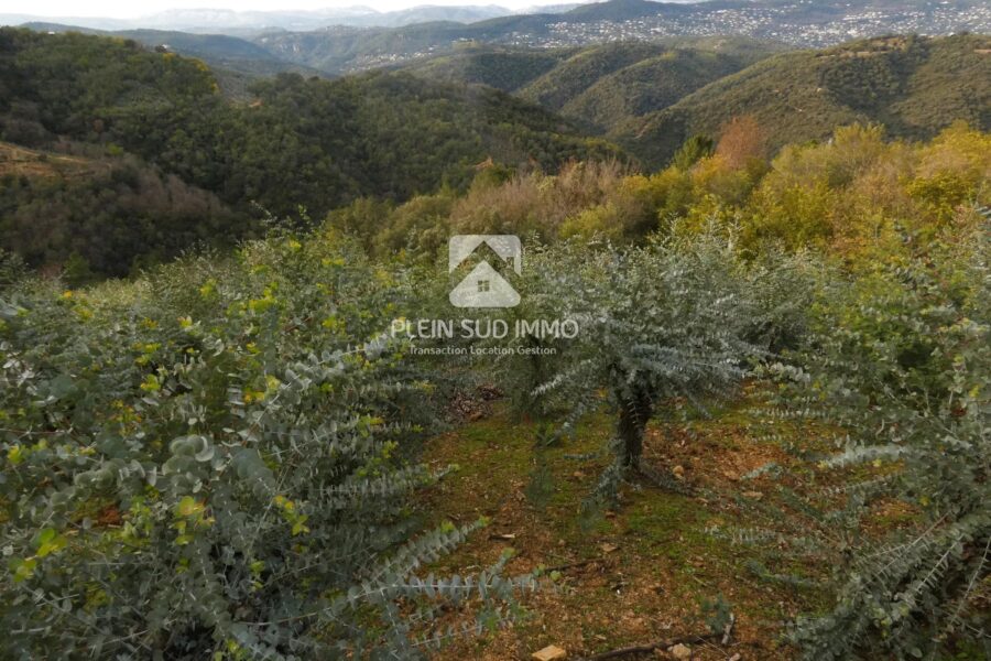 Terrain à vendre à Tanneron — Vue nature — photo 3