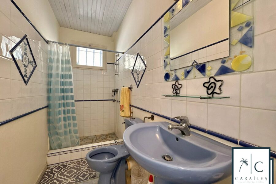 Maison à vendre à Le Robert — Vue nature — photo 14