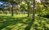 Maison à vendre à Aix-en-Provence — Vue nature — photo 5