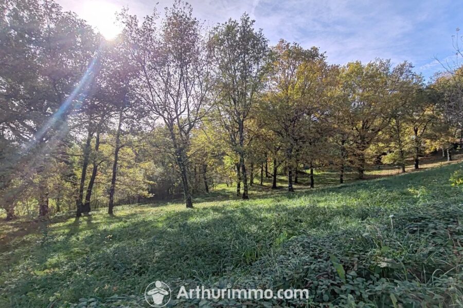 Terrain à vendre à Carmaux — Vue nature — photo 1
