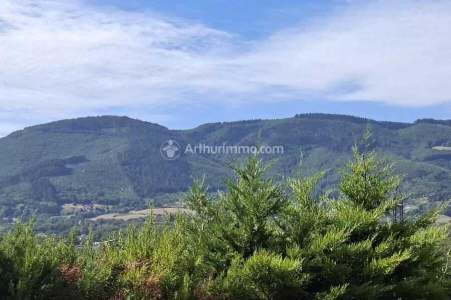 Maison à vendre à Payrin-Augmontel — Vue montagne — photo 1