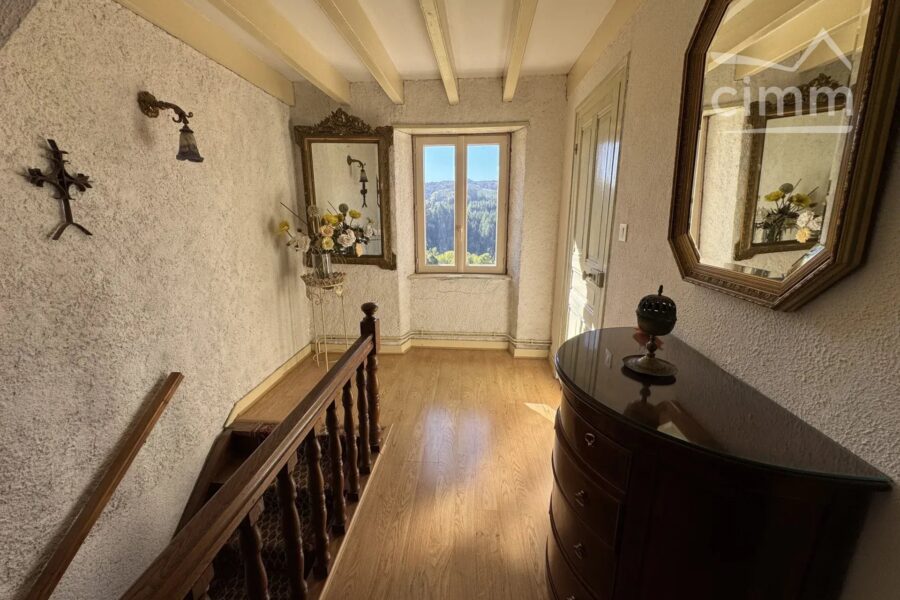 Maison à vendre à La Chapelle-Agnon — Vue montagne — photo 12