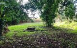 Maison à vendre à Lerné — Vue nature — photo 1