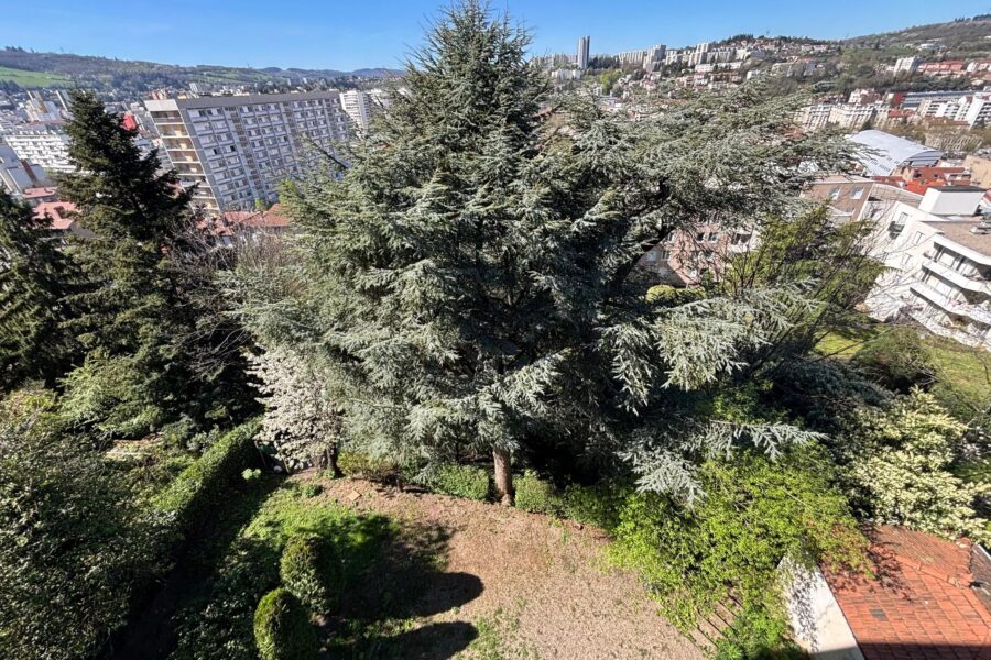 Appartement à vendre à Saint-Étienne — Vue sur la ville — photo 9