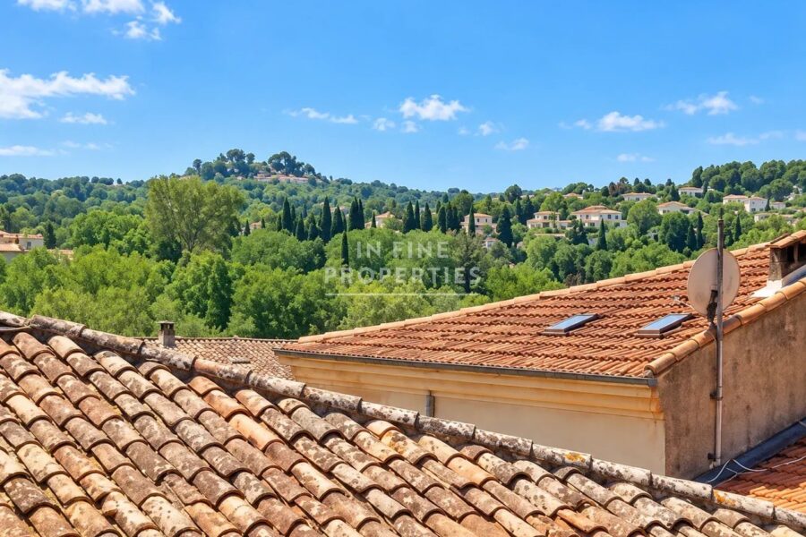 Appartement à louer à Valbonne — Vue sur la ville — photo 10