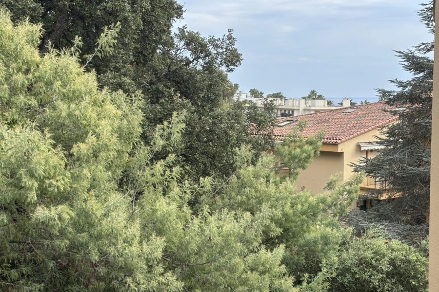Appartement à vendre à Cannes — Vue nature — photo 12