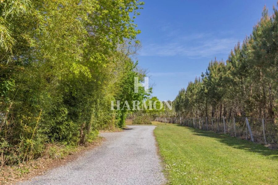 Maison à vendre à Sanguinet — Vue nature — photo 12