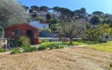 Maison à vendre à Cannes — Vue nature — photo 1