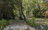 Maison à vendre à Roquefort-les-Pins — Vue nature — photo 6