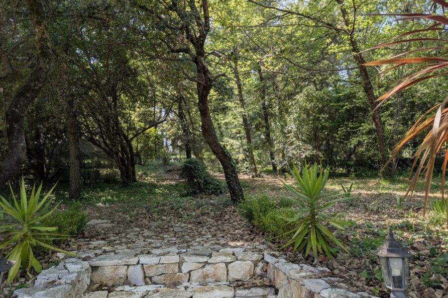 Maison à vendre à Roquefort-les-Pins — Vue nature — photo 6