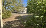 Maison à vendre à Les Artigues-de-Lussac — Vue nature — photo 31