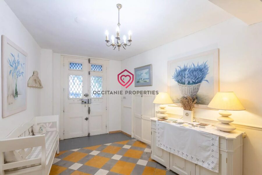 Maison à vendre à Olonzac — Vue sur la ville — photo 8