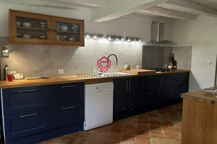 Maison à vendre à Belvèze-du-Razès — Vue montagne — photo 8