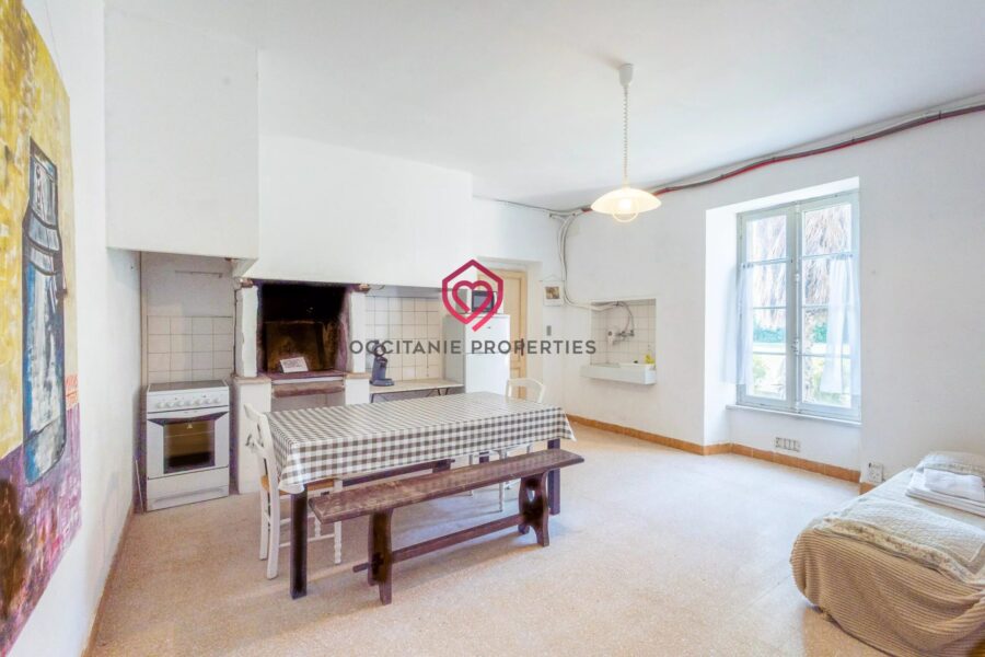 Maison à vendre à Carcassonne — Vue vignes — photo 11