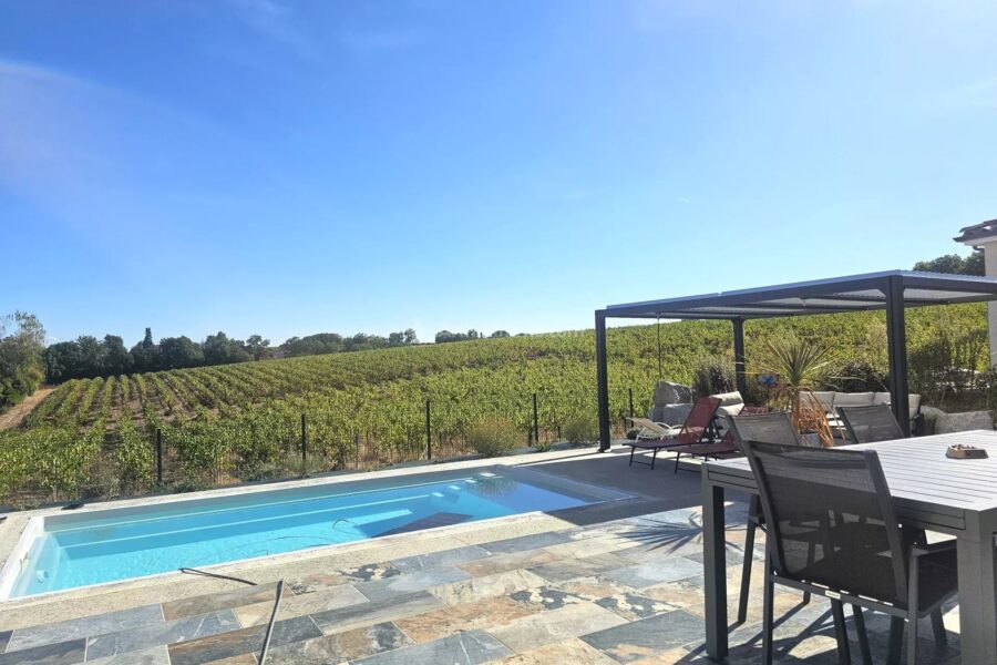 Maison à vendre à Cunac — Vue vignes — photo 11