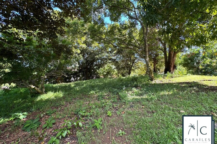 Terrain à vendre à Le François — photo 9