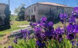 Maison à vendre à Florentin — Vue nature — photo 2