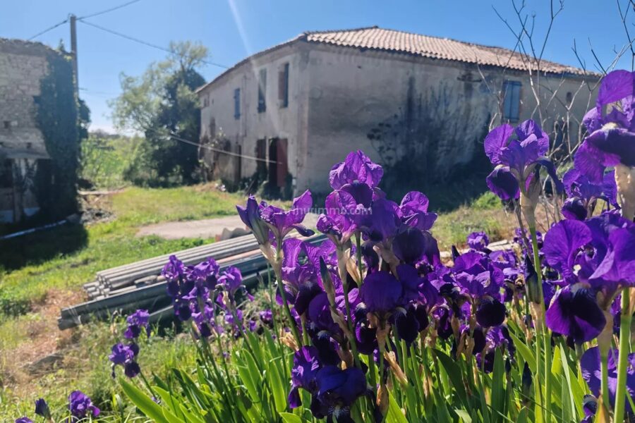 Maison à vendre à Florentin — Vue nature — photo 2