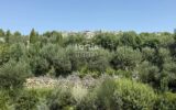 Maison à vendre à Paradou — Vue montagne — photo 10