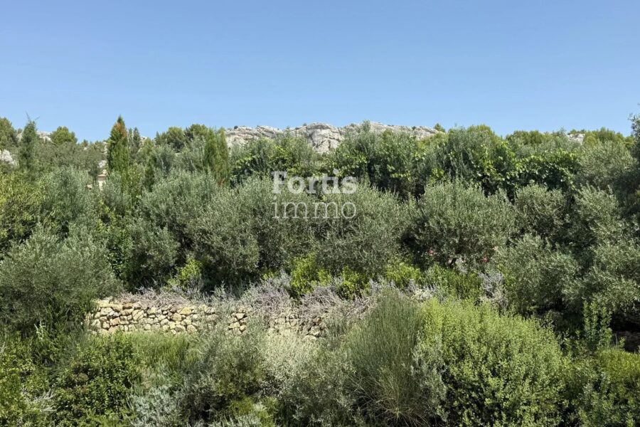 Maison à vendre à Paradou — Vue montagne — photo 10