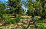 Maison à vendre à Cagnes-sur-Mer — Vue nature — photo 1