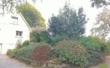 Maison à vendre à Pontivy — Vue parc & jardin — photo 4