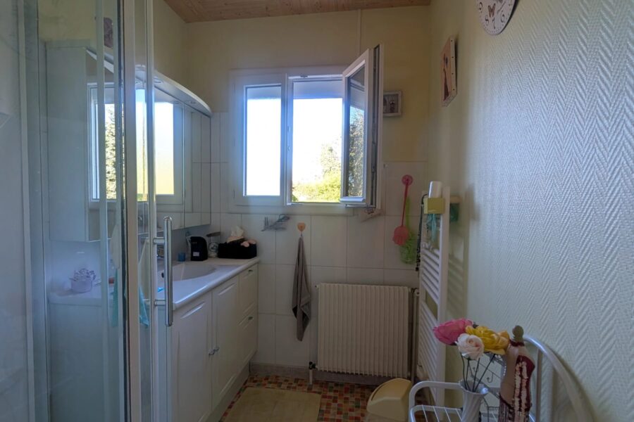 Maison à vendre à Ligré — Vue nature — photo 11