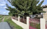 Maison à vendre à Puisseguin — Vue nature — photo 18