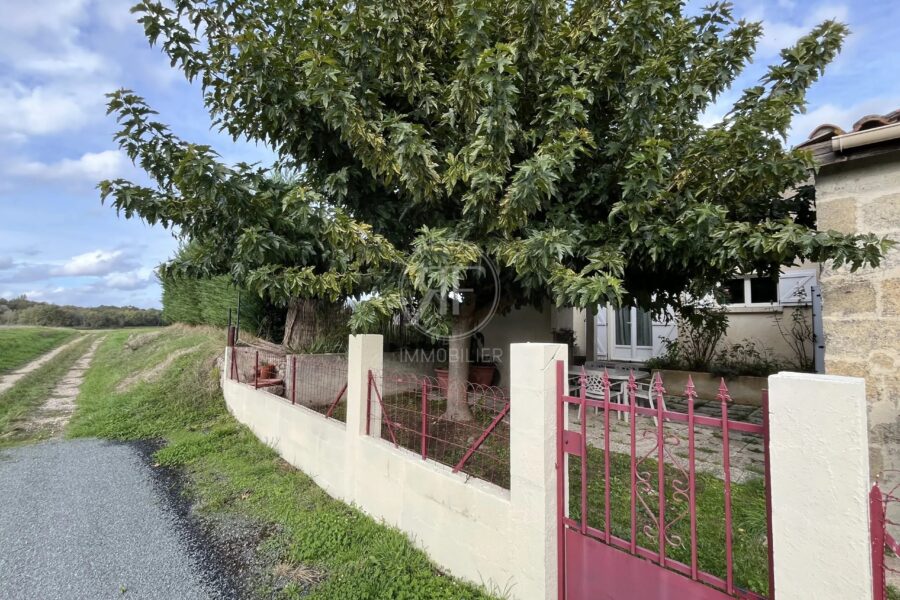 Maison à vendre à Puisseguin — Vue nature — photo 18