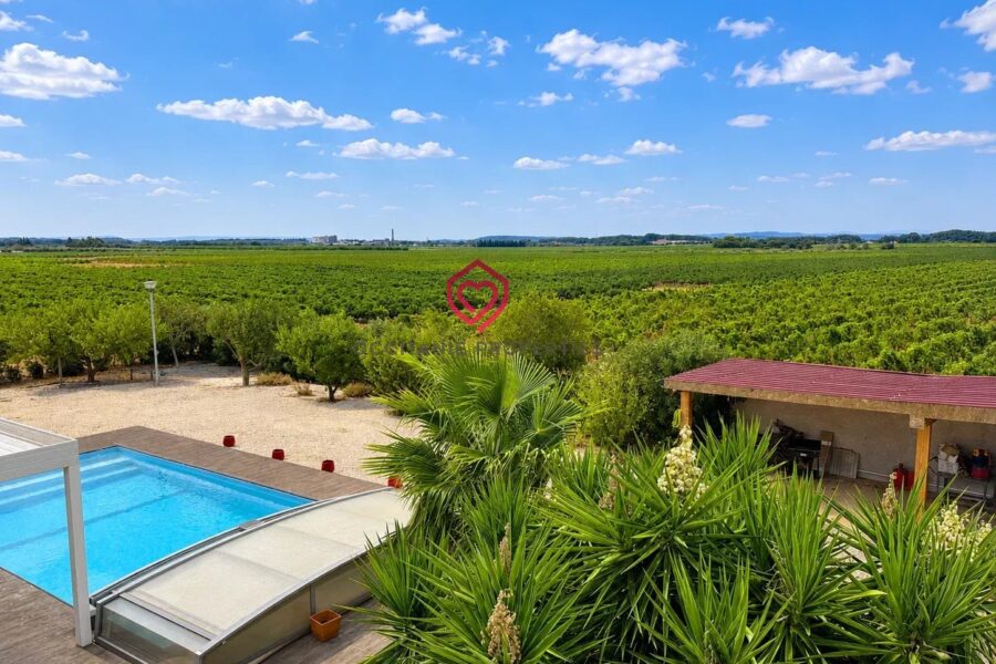 Maison à vendre à Argeliers — Vue vignes — photo 22