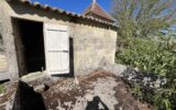 Maison à vendre à Les Artigues-de-Lussac — Vue nature — photo 32