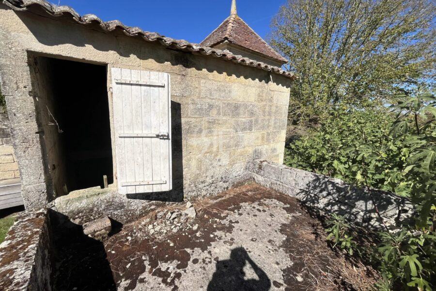 Maison à vendre à Les Artigues-de-Lussac — Vue nature — photo 32