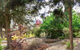 Maison à vendre à Carcassonne — Vue montagne — photo 46