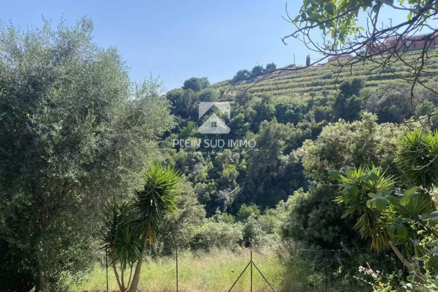 Terrain à vendre à Nice — Vue nature — photo 2