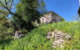 Maison à vendre à Florentin — Vue nature — photo 3