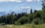 Terrain à vendre à Combloux — Vue montagne — photo 3