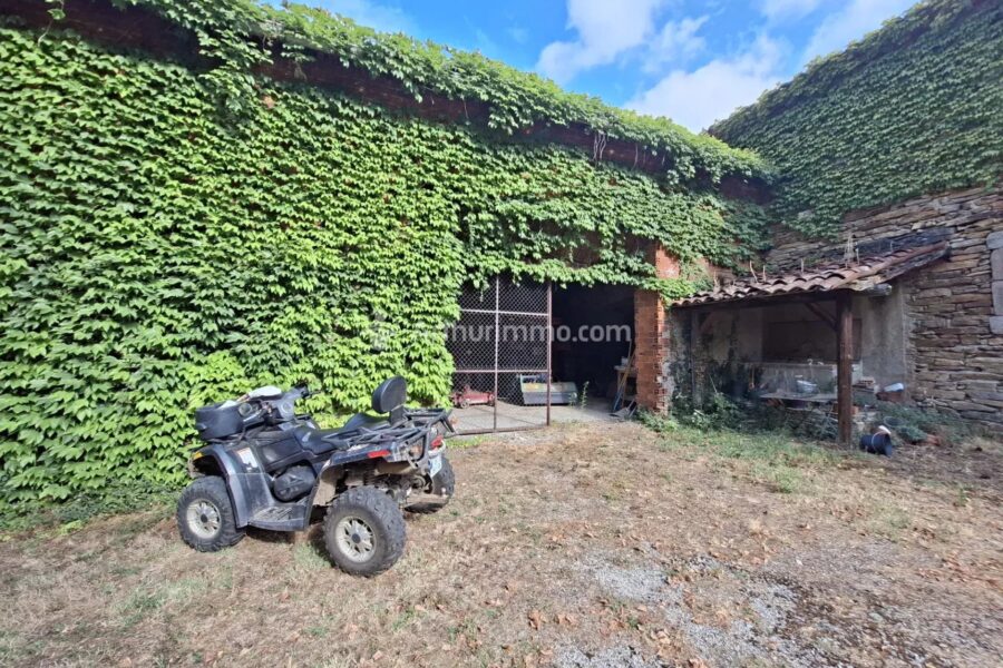 Maison à vendre à Saint-Amans-Valtoret — Vue montagne — photo 19