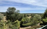 Maison à vendre à La Fermeté — Vue nature — photo 10