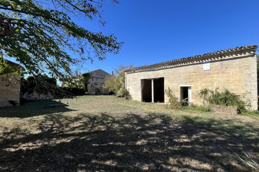 Maison à vendre à Les Artigues-de-Lussac — Vue nature — photo 24