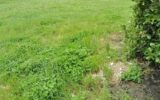Terrain à vendre à Laboutarie — photo 1