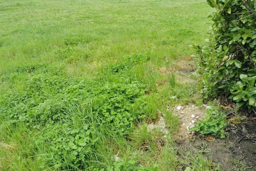 Terrain à vendre à Laboutarie — photo 1