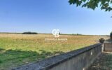 Maison à vendre à Saint-Fort-sur-le-Né — Vue parc & jardin — photo 1