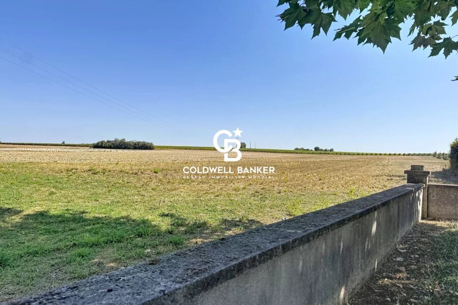 Maison à vendre à Saint-Fort-sur-le-Né — Vue parc & jardin — photo 1