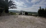 Maison à vendre à Argagnon — Vue montagne — photo 48